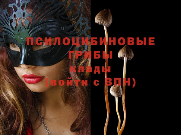винт Алексеевка